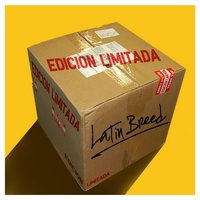 Ay Mujer - Latin Breed