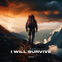I Will Survive - D&S & Margad