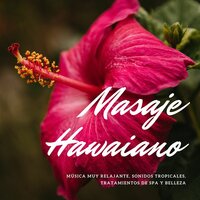 Sonidos de Hawai - Relajacion Ariel