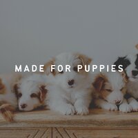 Tune Made for Puppies - Relax My Dog Music