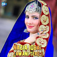 Zawani Tereji - Nazia iqbal & Malang