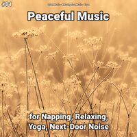 Peaceful Music Pt. 51 - Quiet Music & Relaxing Spa Music & Yoga
