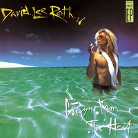 Coconut Grove - David Lee Roth
