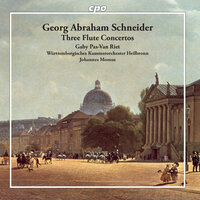 Flute Concerto in A Minor, Op. 53: III. Rondo. Allegretto - Gaby Pas-Van Riet