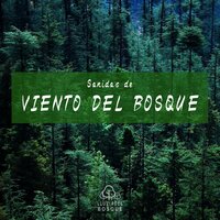 Sonidos de Viento del Bosque, Pt. 16 - Lluvia del Bosque
