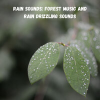 Soothing Ambient - Focus & Epic Soundscapes & Binaural Beats Isochronic Tones Lab