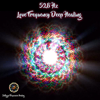 Manifest Miracles 528Hz Love Frequency - Emiliano Bruguera