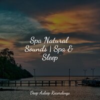 Sound of Sleeping - The Sleep Specialist & Rain for Deep Sleep & Asian Zen Spa Music Meditation
