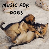 Mellow Mood - Music for Dogs & Music for Dogs Peace & Relaxing Puppy Music & Calm Pets Music Academy