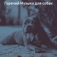 Чувство (Собаки, щенки) - Горячий Музыка для собак