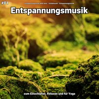 Entspannungsmusik pt. 66 - Entspannungsmusik Willi Antz & Schlafmusik & Entspannungsmusik