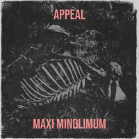 Reach - Maxi Mindlimum