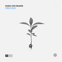Oblique - High On Mars