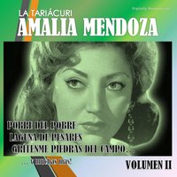 Que padre es la vida - Amalia Mendoza