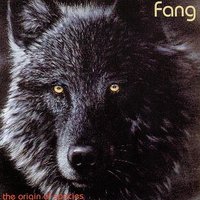 Disphoria - fang