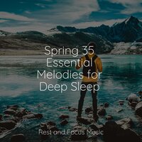 Serenity Abound - Sounds of Nature White Noise for Mindfulness Meditation and Relaxation & Ambient Music Therapy & Deep Relaxation Meditation Academy