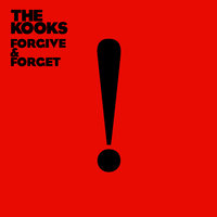She Don't Love You - The Kooks