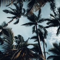 Way 2 Chill Radio Pt. 2 - Mercury Rhodes & Way 2 Chill