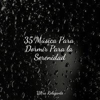 Horizontes Universales - Musica para Dormir 101 & Sons da Natureza Relax & Música para Relaxar Maestro