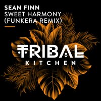 Sweet Harmony - Sean Finn & Funkera