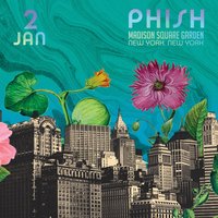 Your Pet Cat - Phish