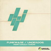 Mantis - Funkware
