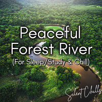 Peaceful Forest River - Part 12 - Silent Chills