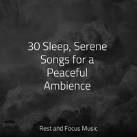 Late Night Coffee - Wellness & Relaxing Nature Music & Relaxed Minds