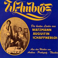I steig aus - Wolfgang Ambros