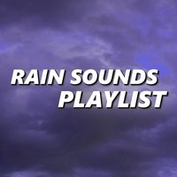 Blustery Evening Rain Sounds - Rain Sounds