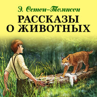 История одного кролика. Часть 1 - Александр Бордуков & Александр Котов