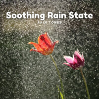 Lenitive Hail - Rain Paris & White Noise Rain & Rain Sounds Nature Collection