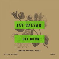 Cool Cat - Jay Caesar