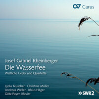 Rheinberger: Aus verborgenem Tal, Op. 136: III. Hohe Flut - Klaus Hager & Götz Payer