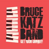 Hesitation Blues - Bruce Katz Band