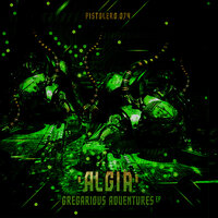 Fermi Paradox - Algia & Spacecraft