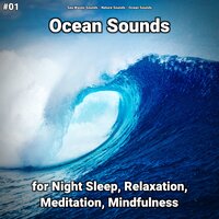 Ocean Sounds Pt. 45 - Sea Waves Sounds & Nature Sounds & Ocean Sounds