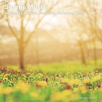 Meditation Music - Yoga & Calm music & Sleep Music