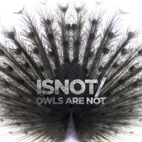 La Prison - Owls Are Not