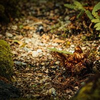 Nieblas Afuera - Música a Relajarse & Musica para Dormir 101 & Musica Para Meditación Profunda