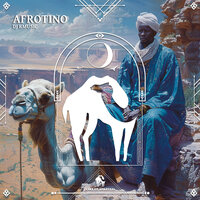 Not Too Late - Dj Rmusic & Cafe De Anatolia