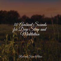 Outside in Twilight - Guided Meditation & Asian Zen Spa Music Meditation & Spa & Spa