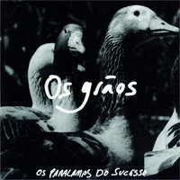 Tribunal De Bar - Os Paralamas Do Sucesso