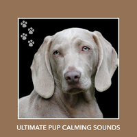 Settled Mind - Puppy Relaxation