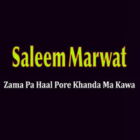 Zama Pa Haal Pore Khanda Ma Kawa - Saleem Marwat
