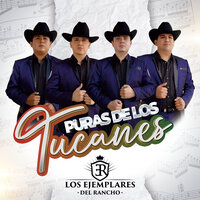 El Centenario - Los Ejemplares del Rancho