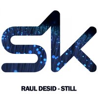 Work - Raul Desid
