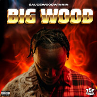 Getting Money - Sauce Woodwinnin & Duckman