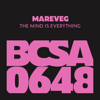 The Mind Is Everything - Mareveg
