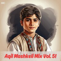 Ho Mahrewan Dost Baya Bamani Shara - Aqil Mashkeli